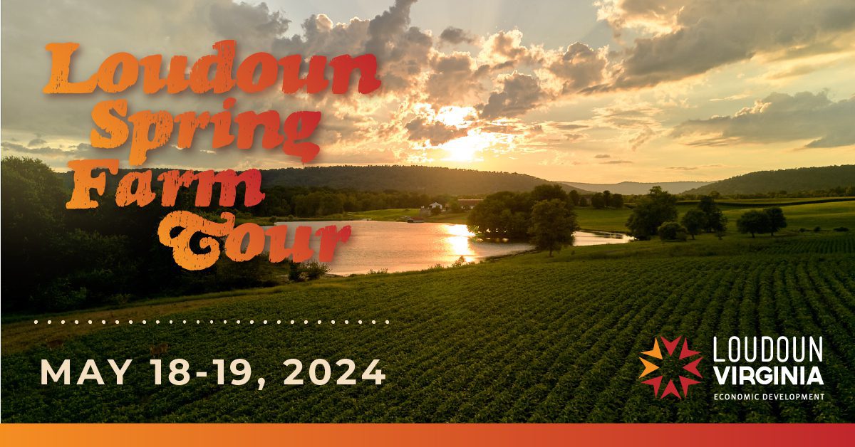 Loudoun Farm Tour Applications Now Open: An Opportunity for Farmers to Showcase Agricultural Excellence