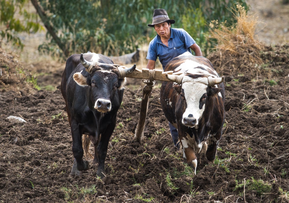 A Changing Climate Requires New Farming Habits: How Can Behavioral Economics Help?