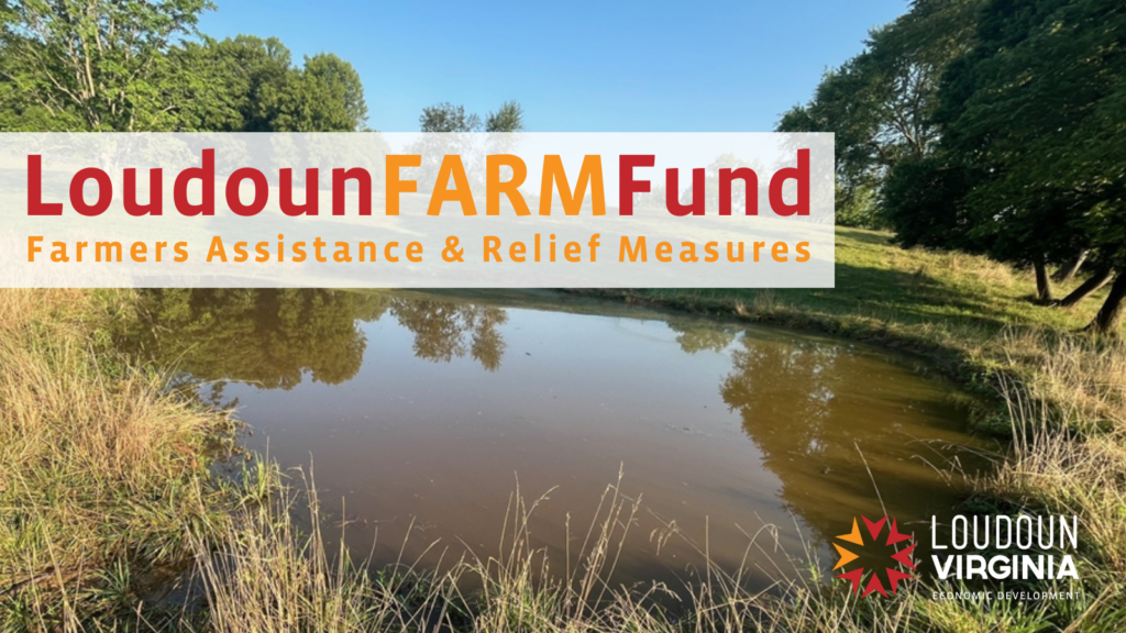 Loudoun County Launches FARM Fund to Support Drought-Affected Farms