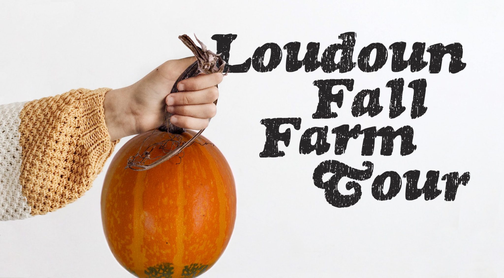 Applications Now Open for the Loudoun Fall Farm Tour