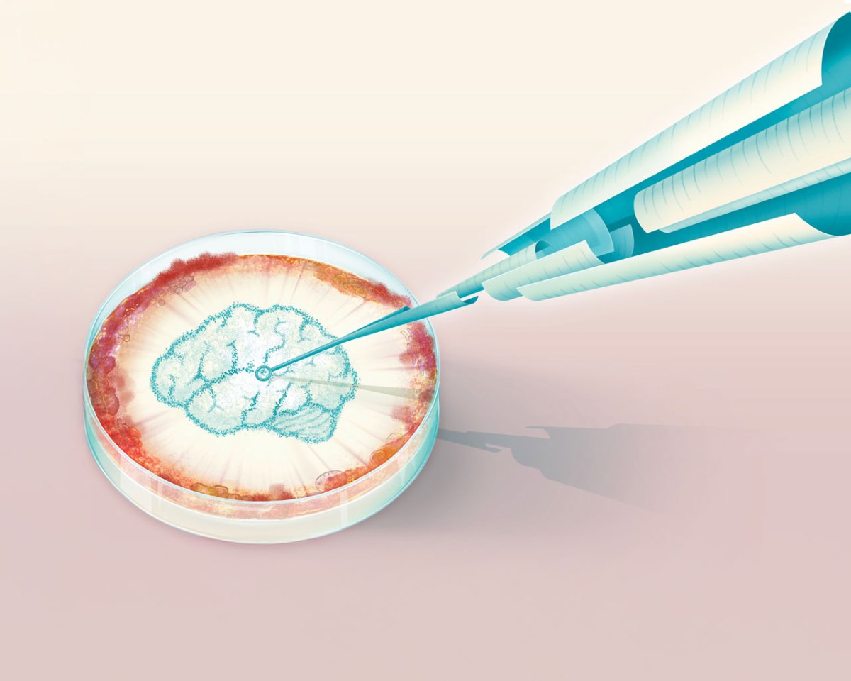 Inoculation vs. misinformation – The daily blog of behavioral and cognitive economics