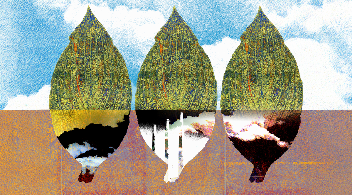 Climate policy support – The daily blog of behavioral and cognitive economics