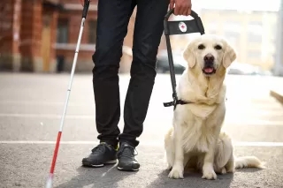 Blindness – The daily blog of behavioral and cognitive economics