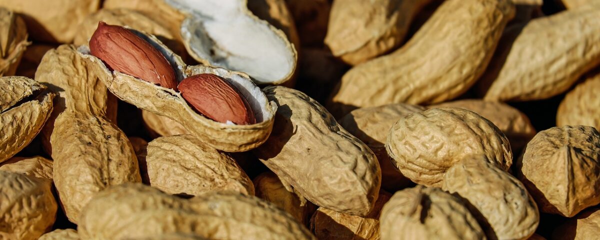 Peanut research – The daily blog of behavioral and cognitive economics