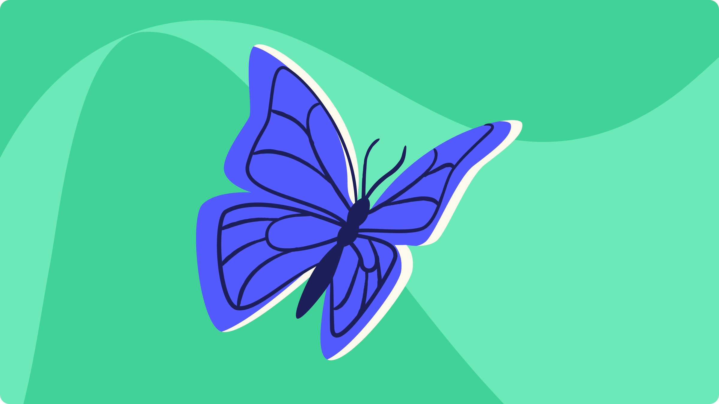 YNAB vs. Monarch | YNAB