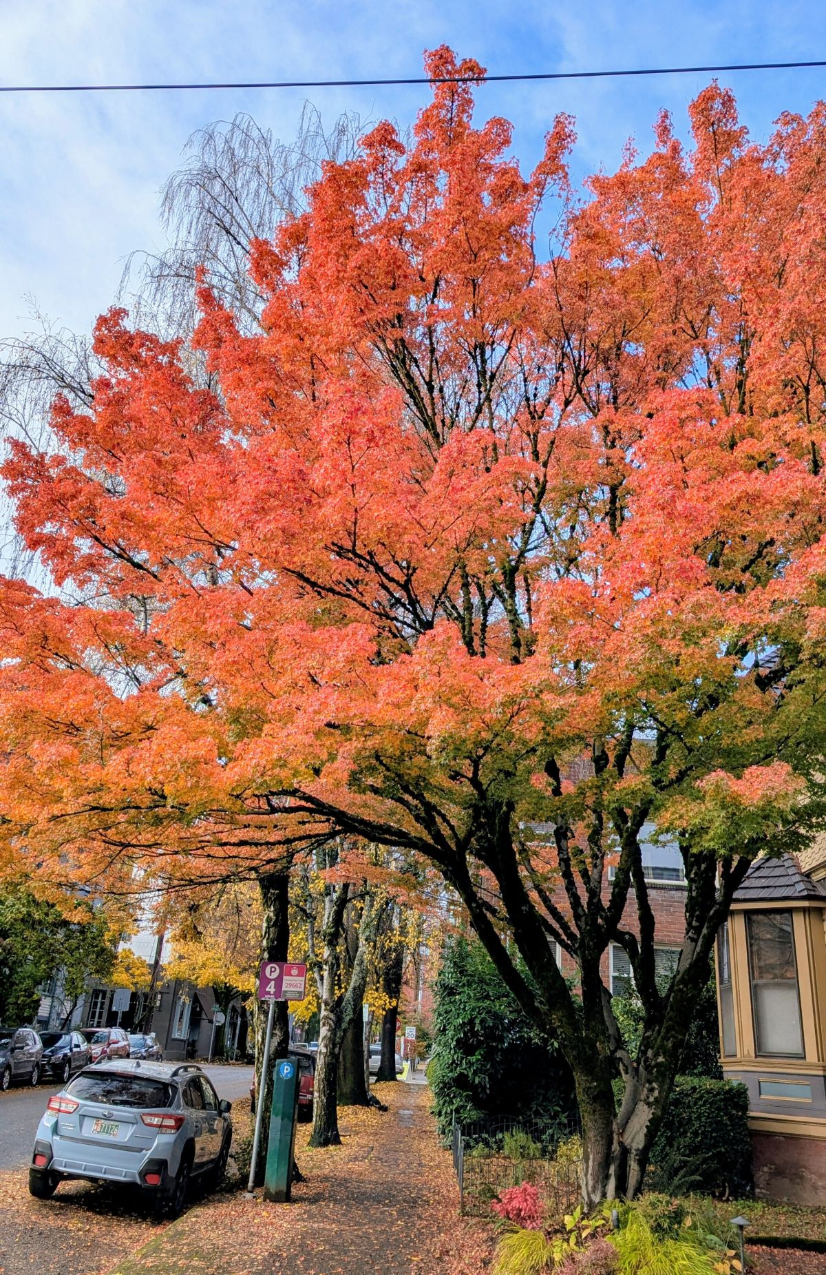 Happy Thanksgiving 2025! – Retire by 40