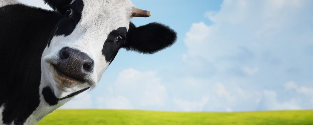 Swiss tariff – The daily blog of behavioral and cognitive economics