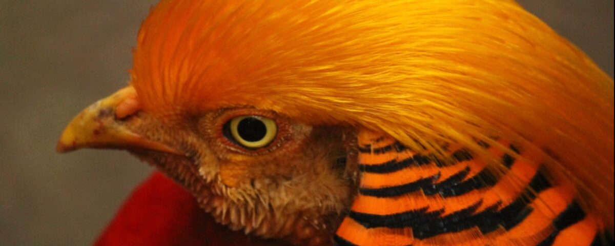 Blind spots – The daily blog of behavioral and cognitive economics