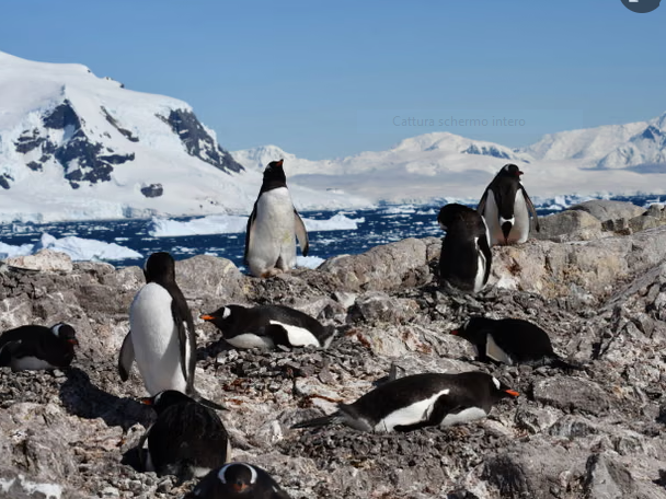 Climate change – The daily blog of behavioral and cognitive economics