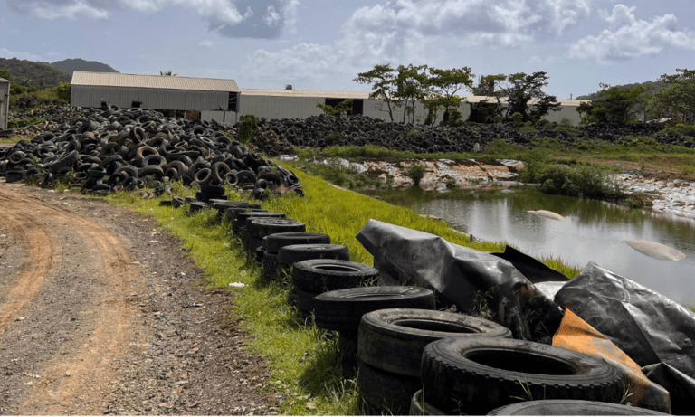 Circular economy – The daily blog of behavioral and cognitive economics