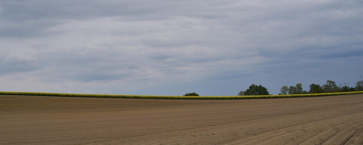 Tragedy of the commons