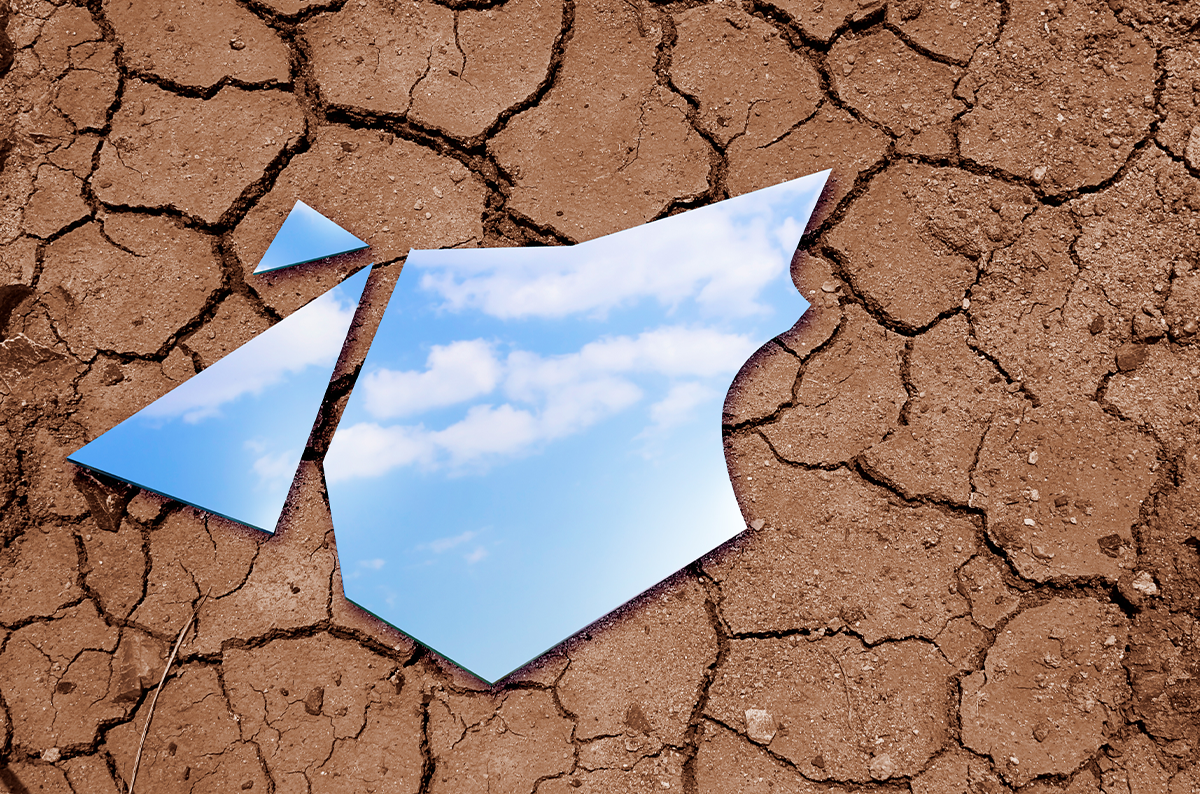 Seeds of trust – The daily blog of behavioral and cognitive economics