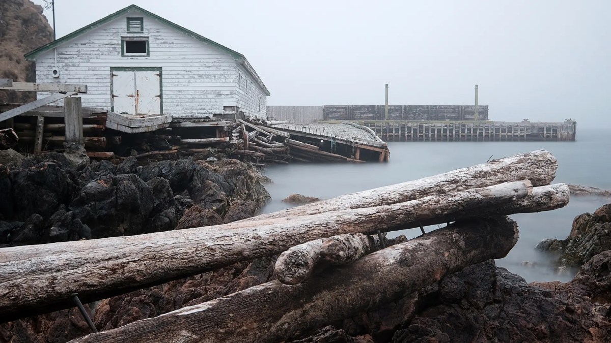Fishing market