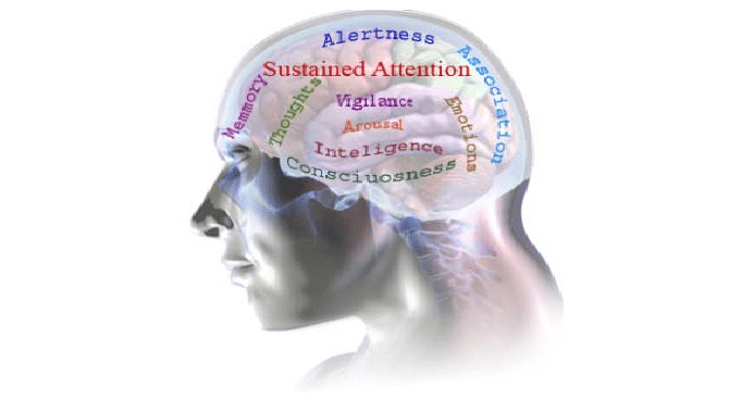 States of attention – The daily blog of behavioral and cognitive economics