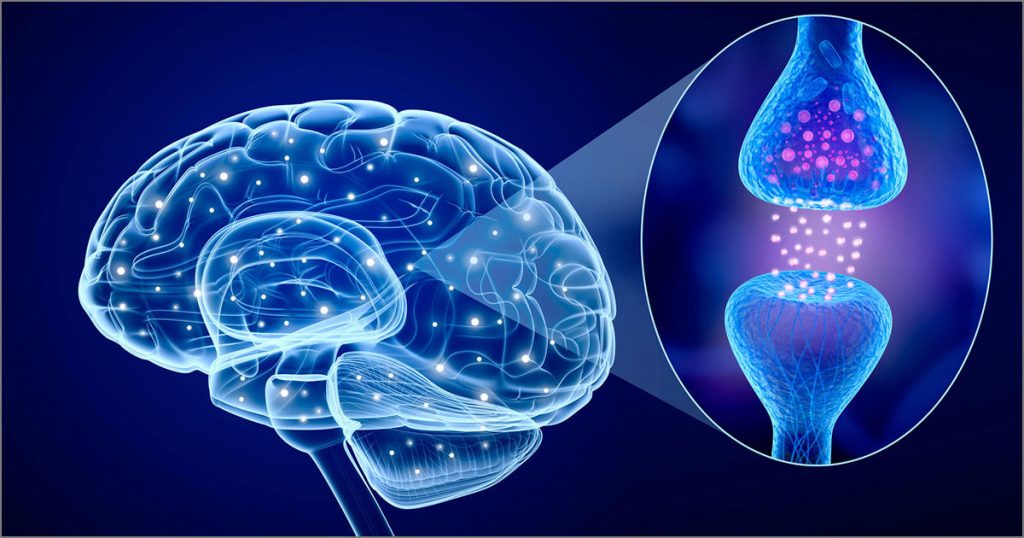 The dopamine loop – The daily blog of behavioral and cognitive economics