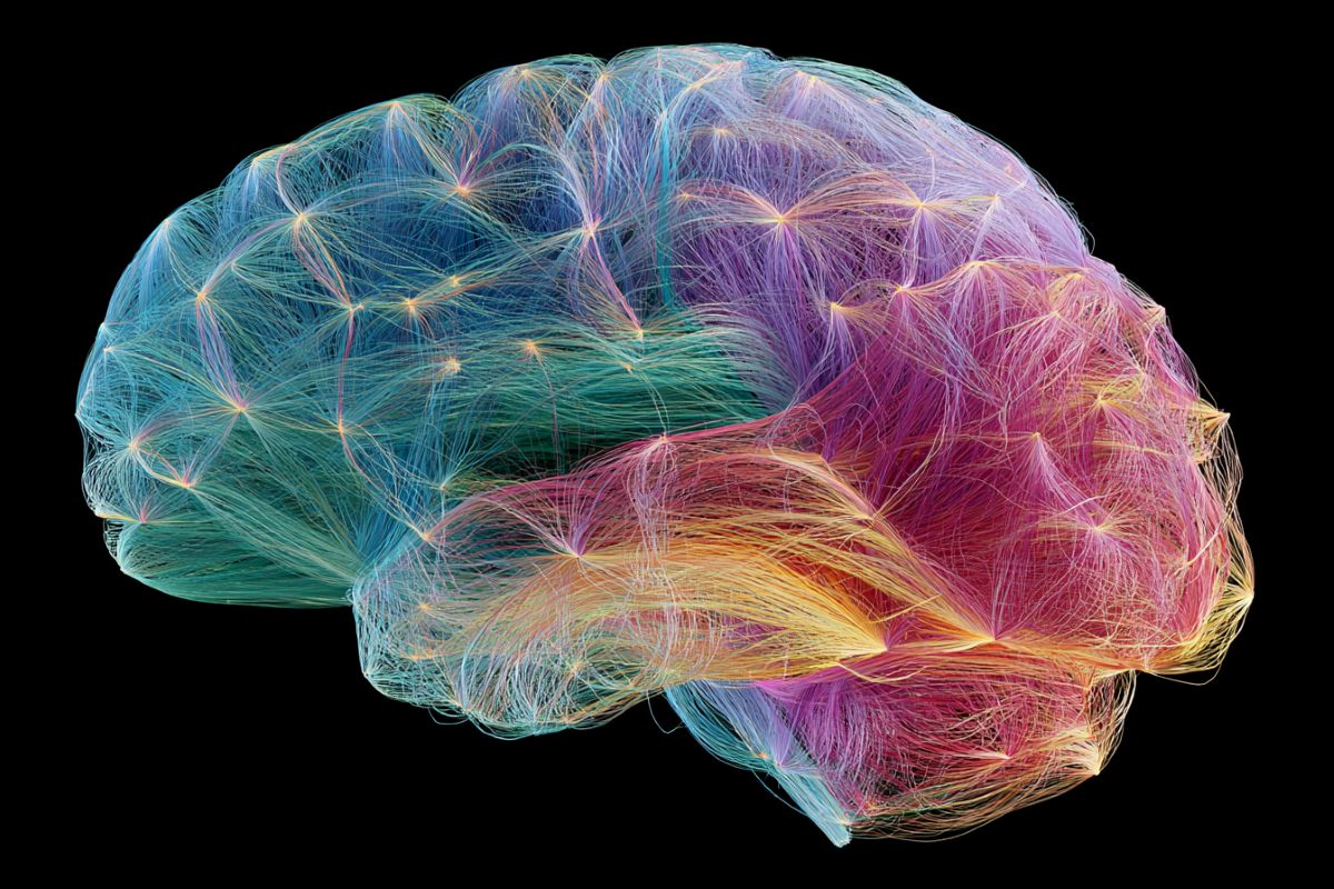 fMRI vs. EEG – The daily blog of behavioral and cognitive economics