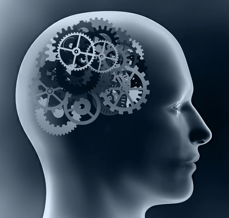 Brain recalibration – The daily blog of behavioral and cognitive economics
