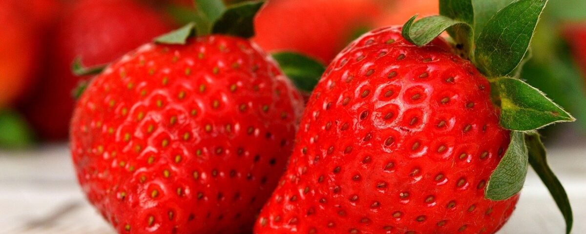 Strawberry competition – The daily blog of behavioral and cognitive economics