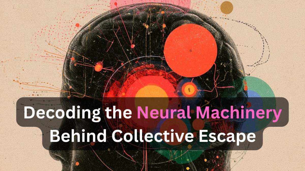Social flight cues – The daily blog of behavioral and cognitive economics