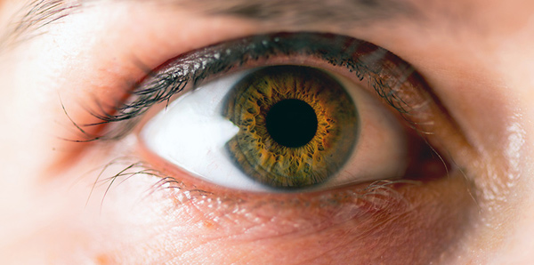 Blind spots – The daily blog of behavioral and cognitive economics