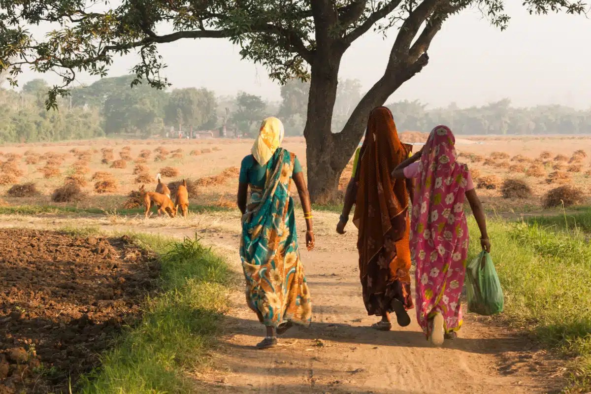 Womens’ participation