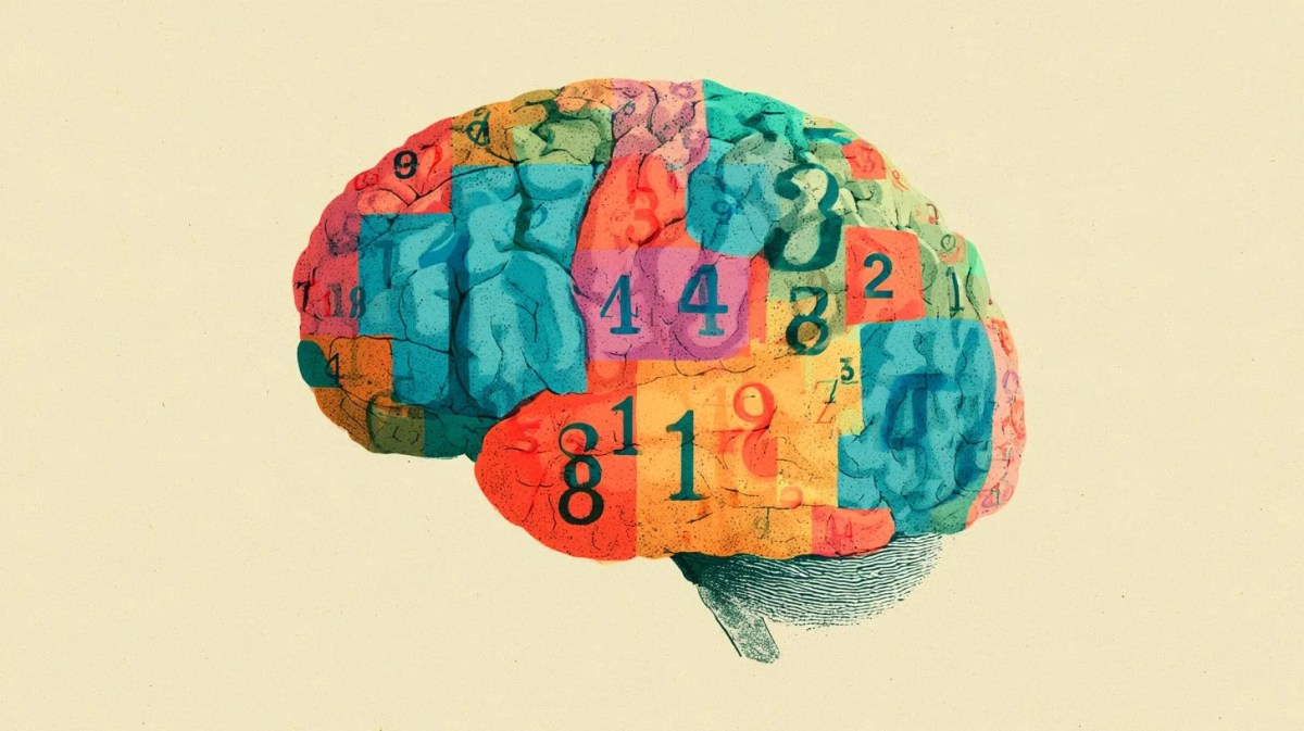 Numbers in the brain – The daily blog of behavioral and cognitive economics