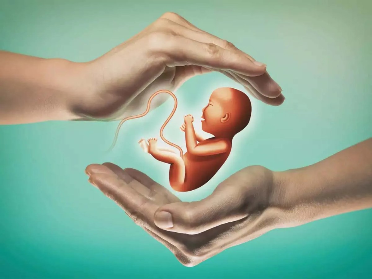 Fertility – The daily blog of behavioral and cognitive economics